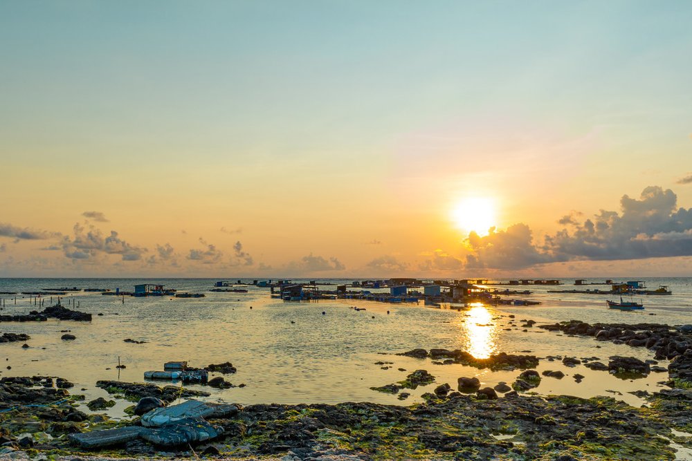 Ngày 2: Khám Phá Biển Xanh & Làng Chài Trên Đảo Phú Quý