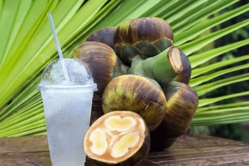 Raa - Nước Thốt Nốt Truyền Thống