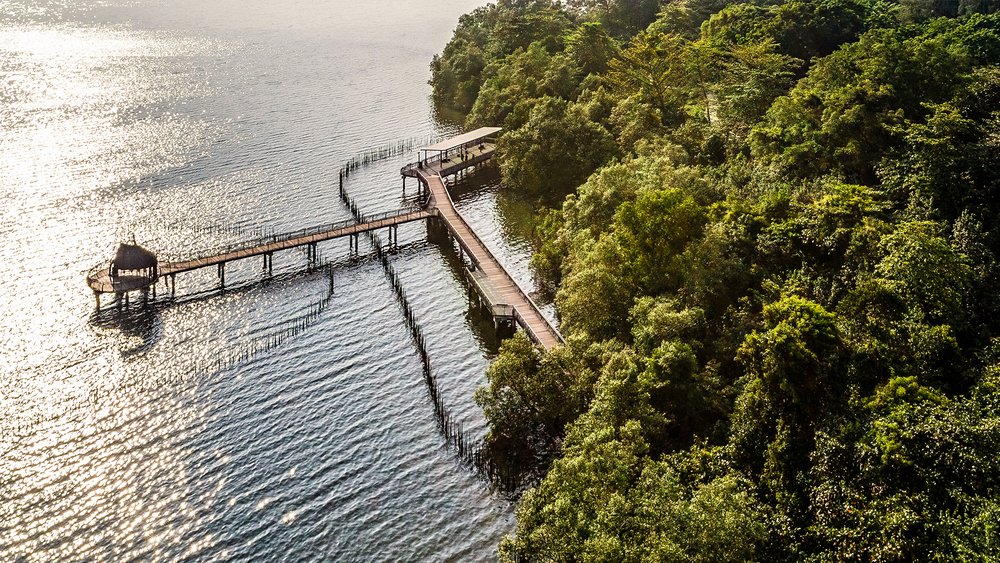 Vài Lưu Ý Khi Đi Du Lịch Kranji Tự Túc Ở Singapore  