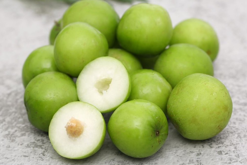 Táo Phan Rang - Trái Cây Giòn Ngọt Của Vùng Biển