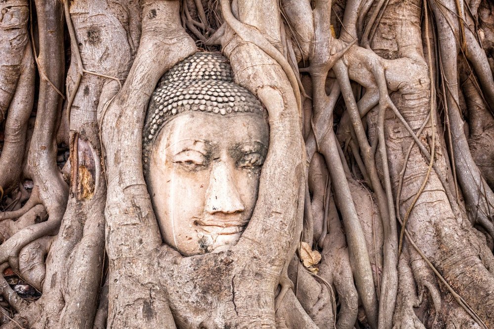 review-tour-ayutthaya