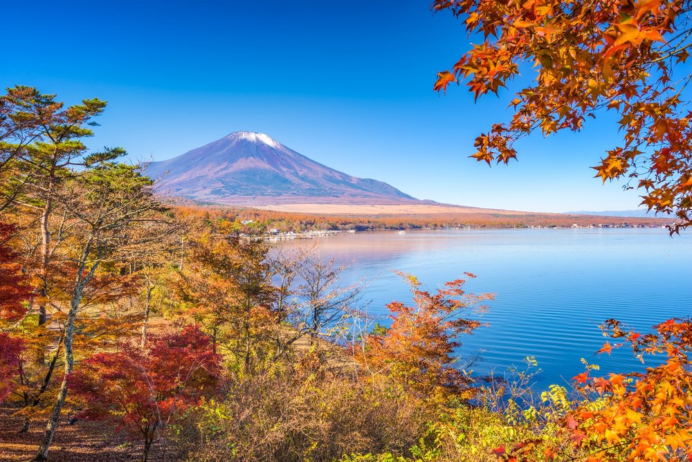 Mt. Fuji Autumn
