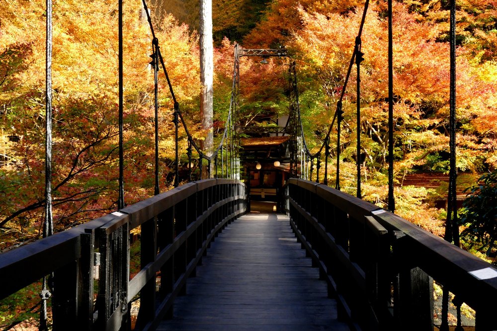 เดินเขาทาคาโอะ (Mount Takao) ช่วงใบไม้เปลี่ยนสี