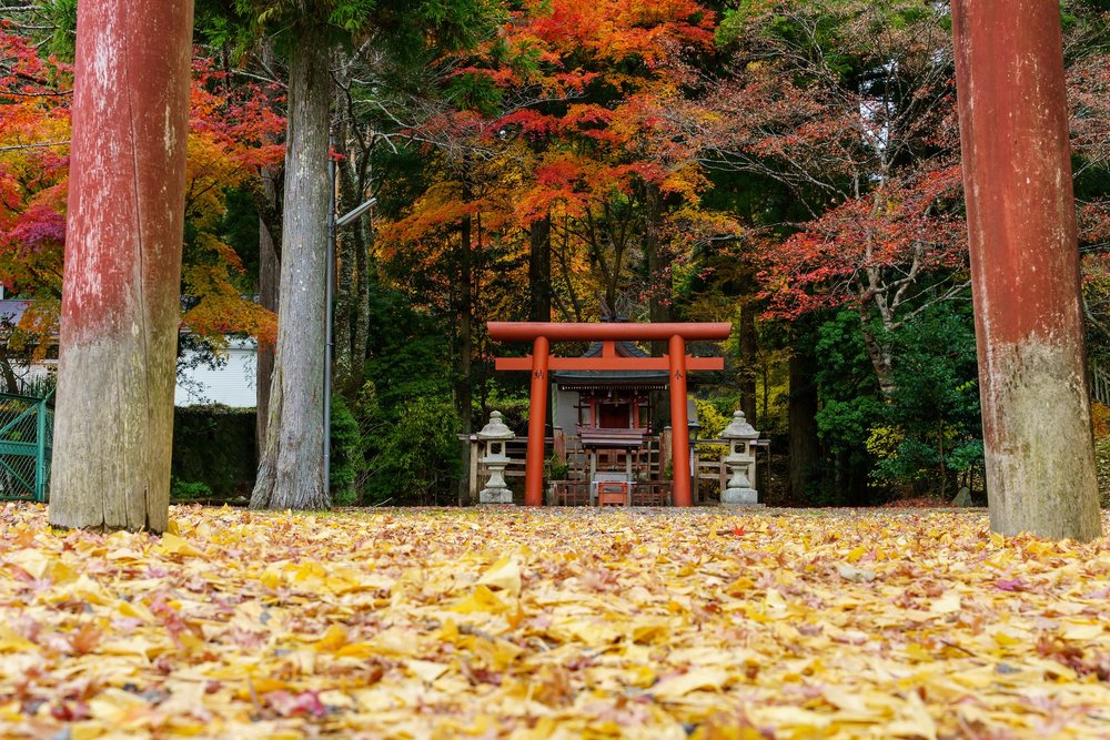เดินป่าโคยะซัง (Mount Koya) ในฤดูใบไม้ร่วง