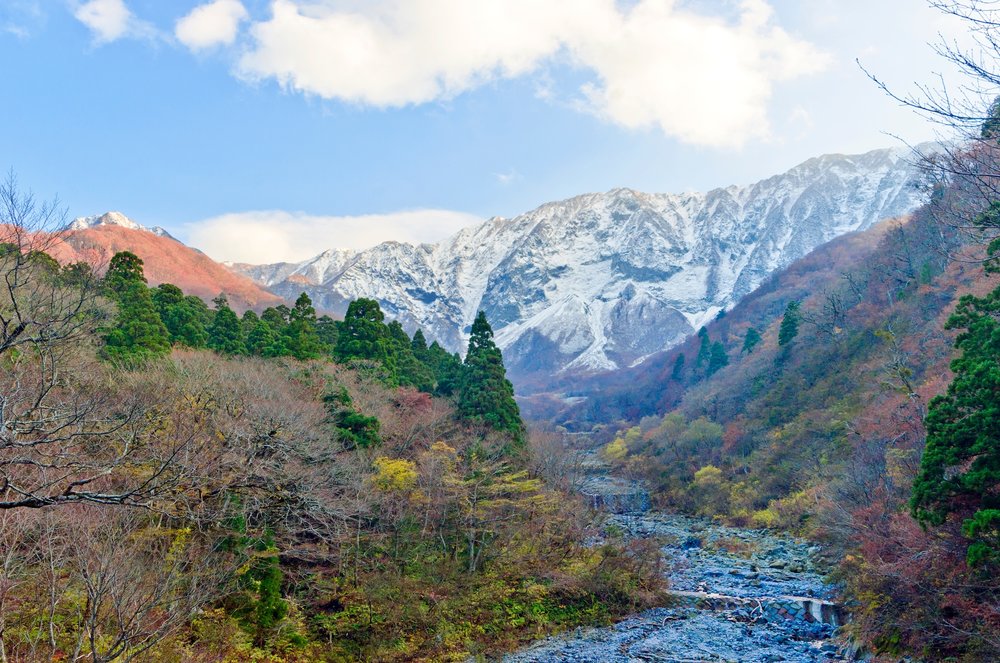 เดินป่าดาอิเซ็น (Mount Daisen) ชมวิวภูเขาใบไม้ร่วง