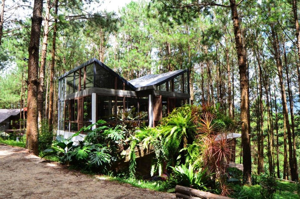 Mơ Stay - Forest Resort
