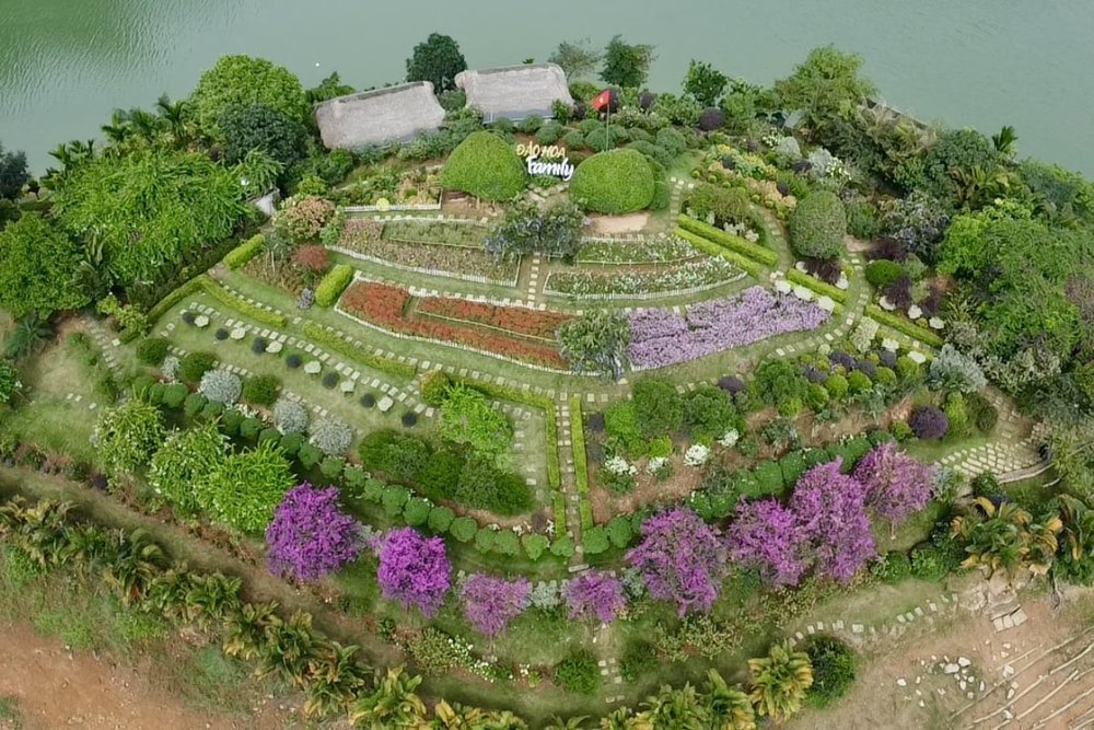 Tận Hưởng Sự Bình Yên Nơi Đảo Hoa Hồ Núi Cốc