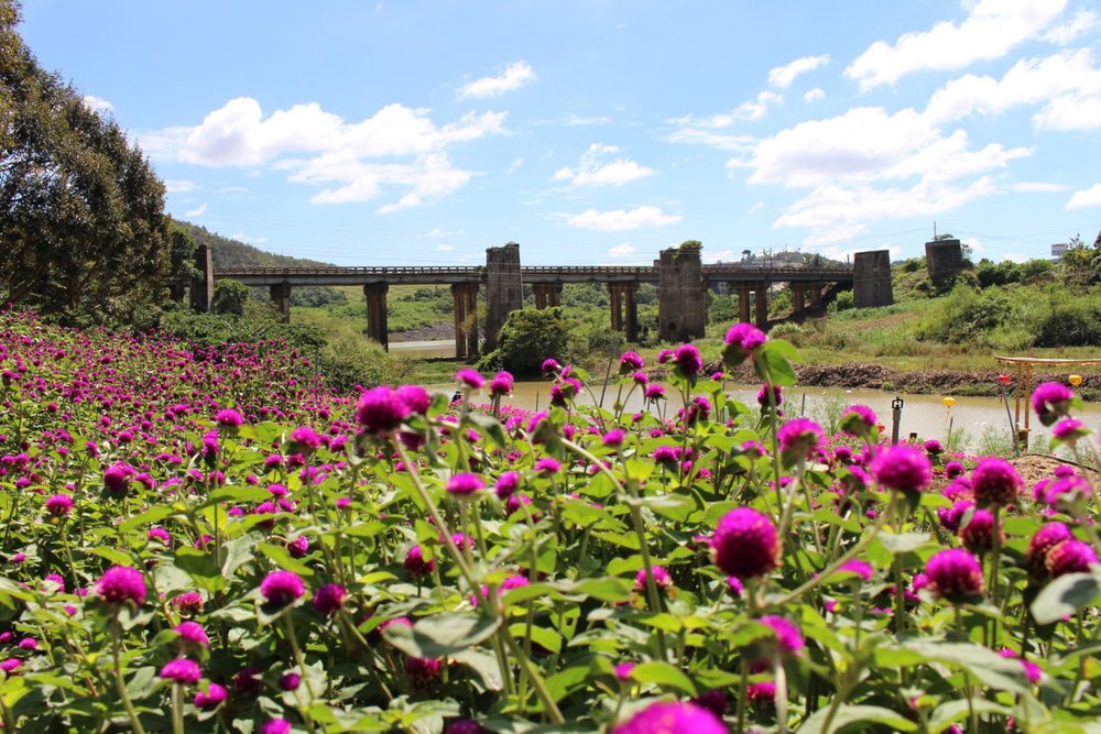 Phim trường cổ trang Bến Xuân 2 - Check-in Độc Đáo