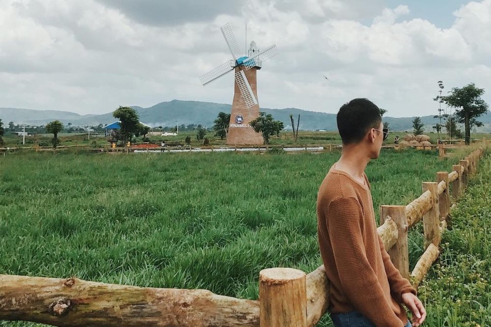 Nông trại Dalat Milk & Cánh đồng Hoa - Phong Cảnh Đồng Quê