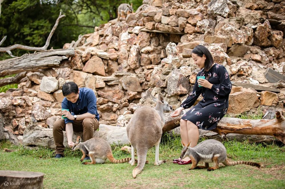 南澳洲自駕遊, 阿德萊德景點, 阿德萊德動物園