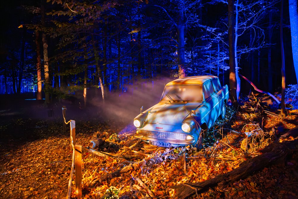 深圳哈利波特禁忌森林