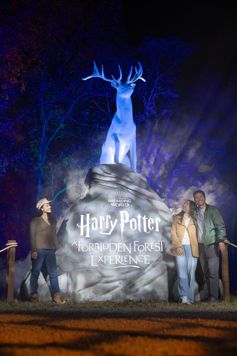 深圳哈利波特禁忌森林