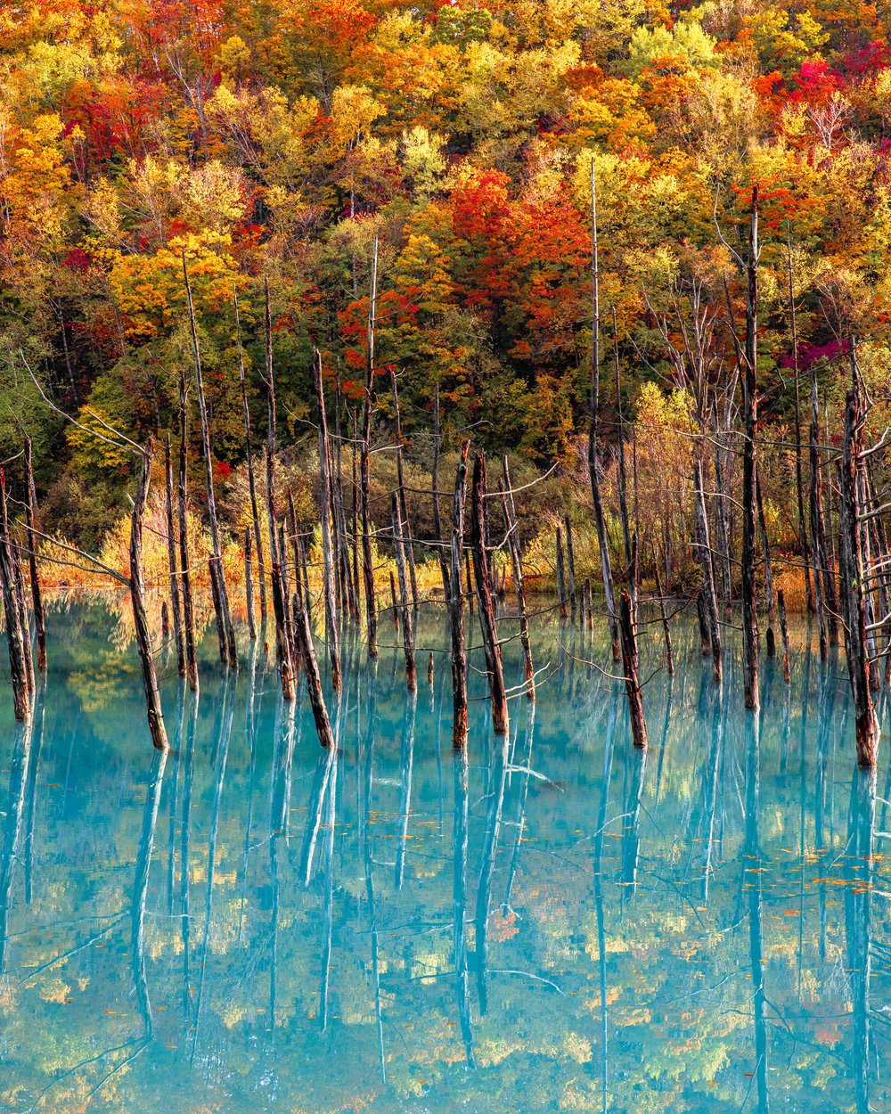 Hokkaido Blue Lake Autumn