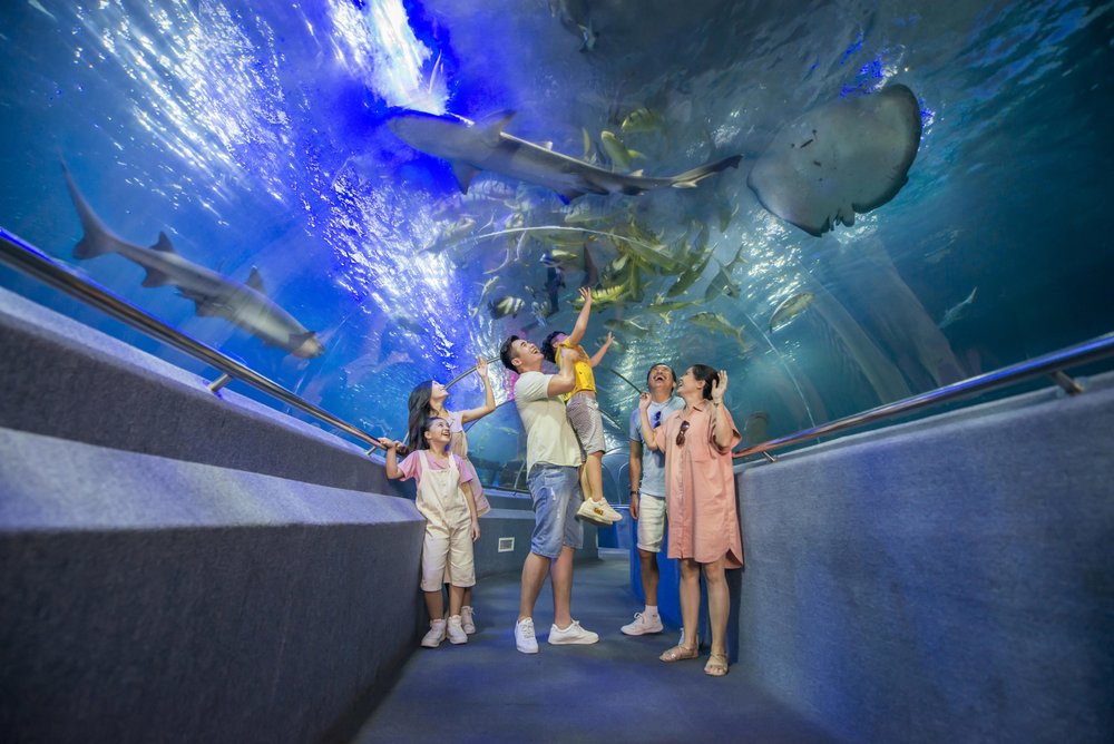 10h30 – 11h30: Khám Phá Thế Giới Đại Dương Tại Thủy Cung VinWonders