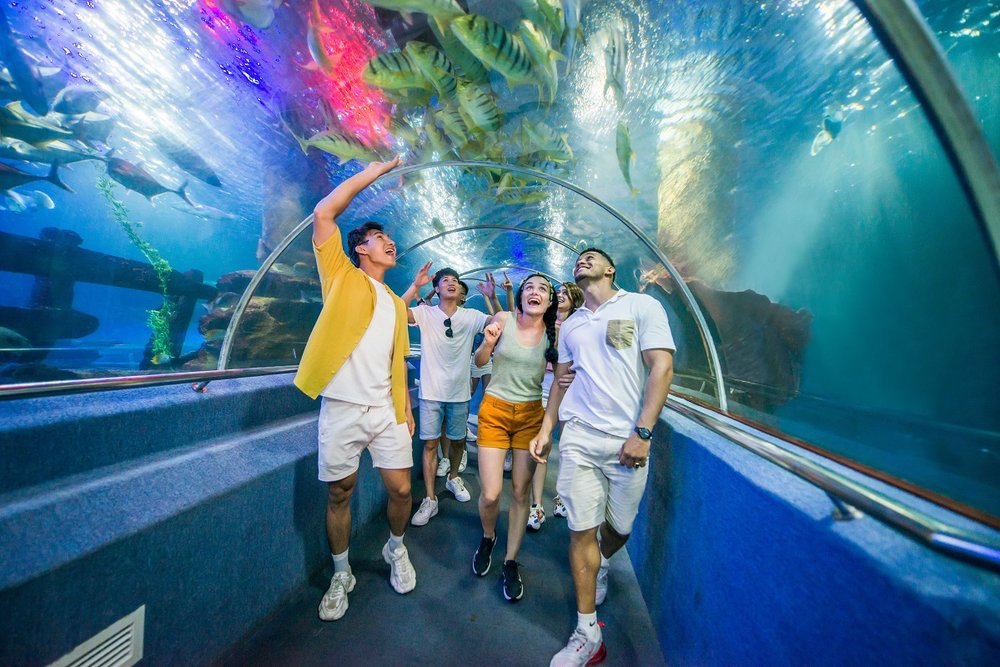 10h30 – 11h30: Khám Phá Thế Giới Đại Dương Tại Thủy Cung VinWonders