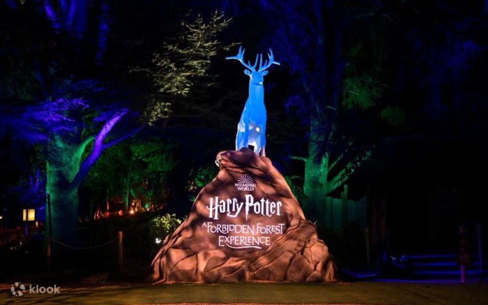 Harry Potter: Forbidden Forest Experience