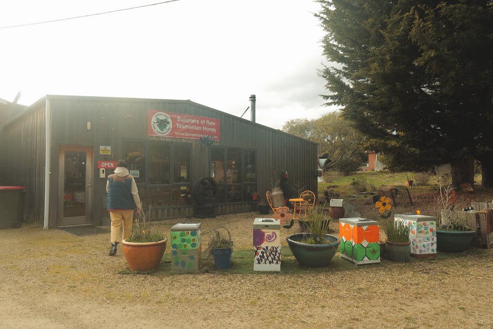 Tasman Honey farm