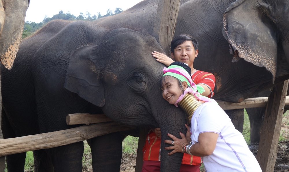 Khu Bảo Tồn Voi Rừng New Elephant Home