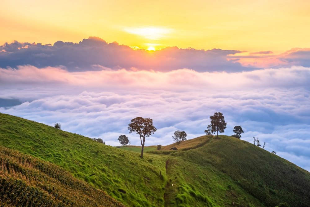 Chi Phí Du Lịch Chiang Mai 5 Ngày 4 Đêm Tham Khảo