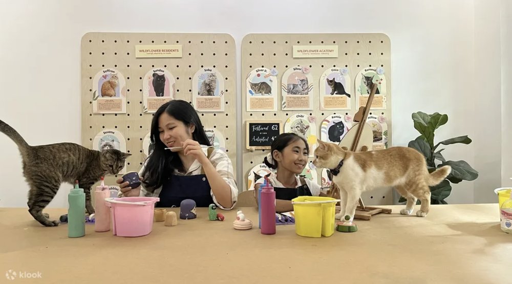 Art Jamming with cats by Wildflower Studio 