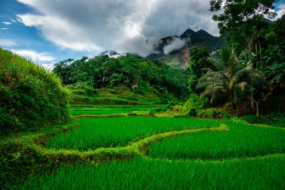 Hướng Dẫn Cách Đi Pù Luông Từ Hà Nội & TP.HCM 