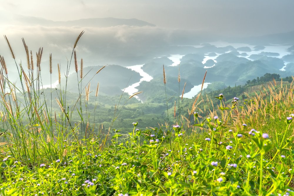 Hướng Dẫn Cách Đi Hồ Tà Đùng Tự Túc Từ Thành Phố Hồ Chí Minh