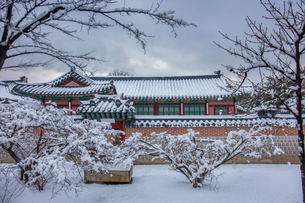 Trượt Tuyết Và Mua Sắm Cuối Năm Tại Seoul, Hàn Quốc