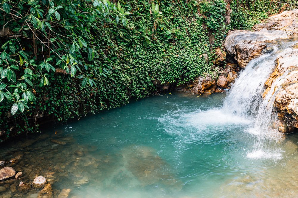  Tắm Suối Nước Nóng Beitou Ở Đài Bắc