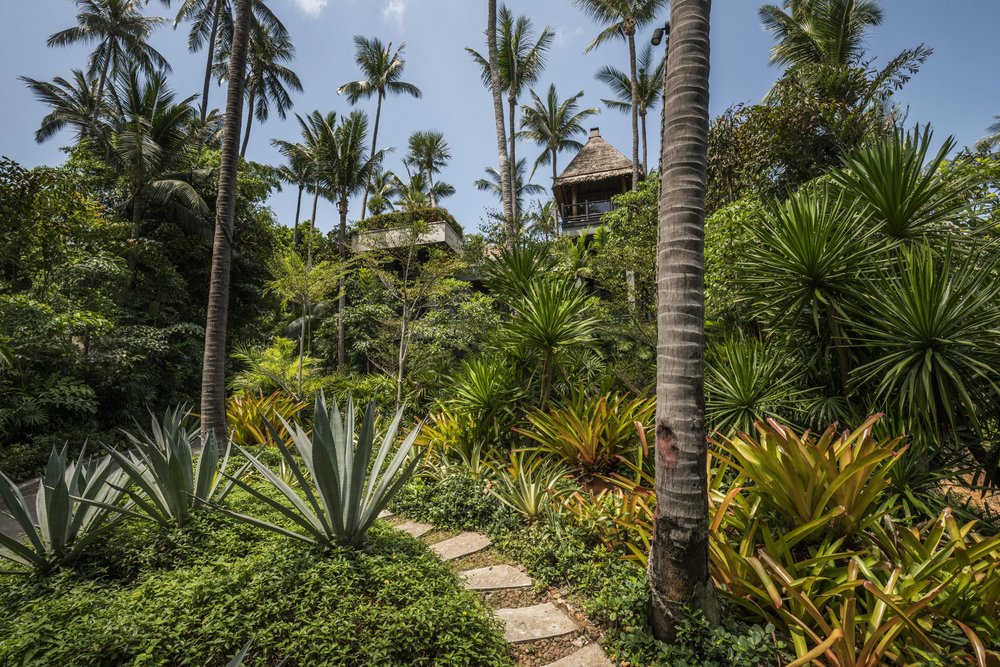 A stone pathway surrounded by plants and trees at Four Seasons Koh Samui