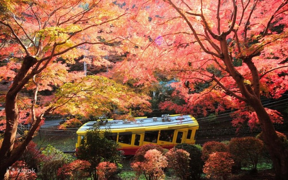 Trải Nghiệm Leo Núi Takao Gần Tokyo