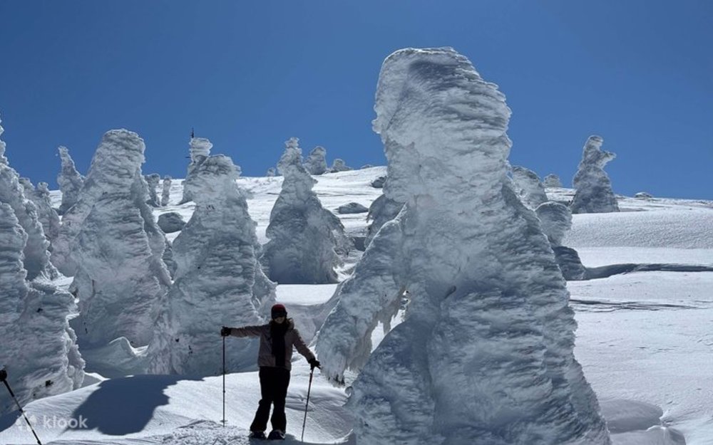 Thử Thách Bản Thân Trên Đỉnh Núi Norikura