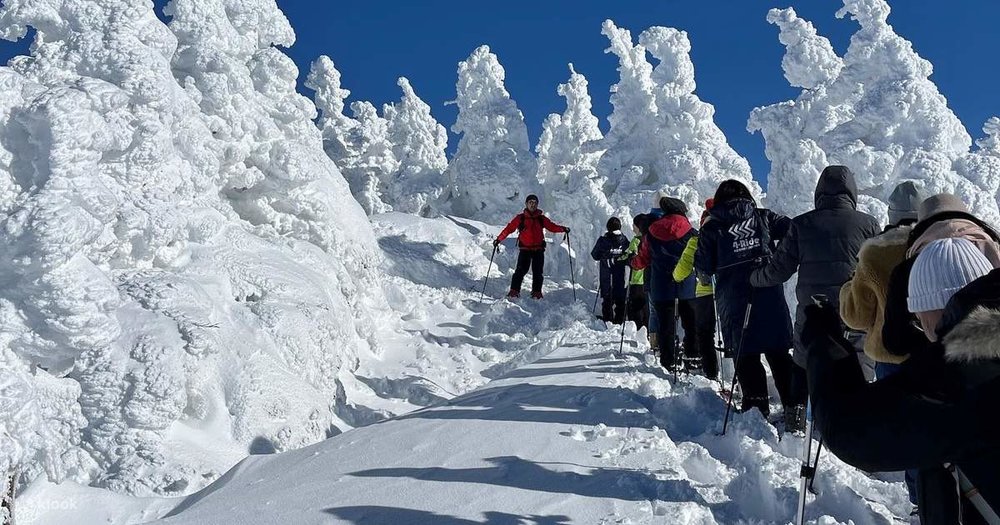 Thử Thách Bản Thân Trên Đỉnh Núi Norikura