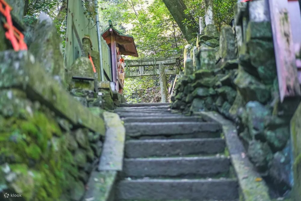 Leo Núi Inari Và Check-in Cùng Cổng Đỏ Torii Tại Fushimi