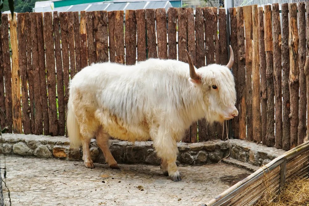 Khu Du Lịch Fresh Garden Đà Lạt
