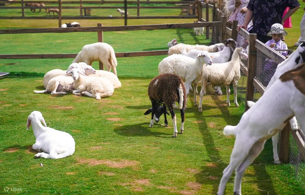 Khu Du Lịch Datanla Đà Lạt