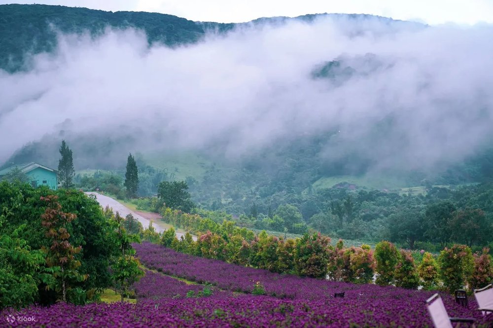 Khu Du Lịch Đà Lạt