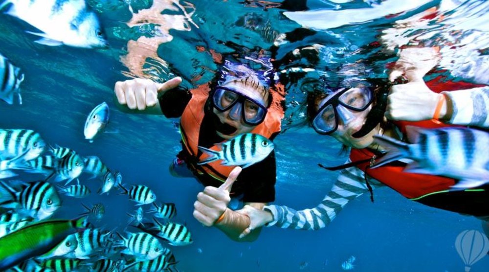 A couple snorkeling in Koh Tao