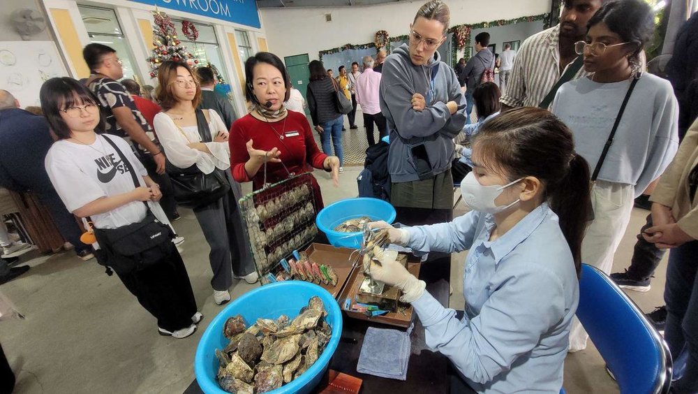 Tourists observing local artisans extracting pearls from oysters in Halong Bay