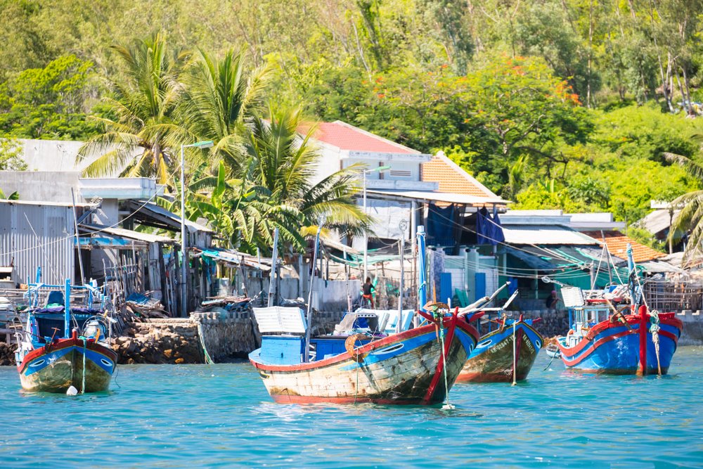 Ngày 2: Tour 4 Đảo & Thử Thách Kong Forest