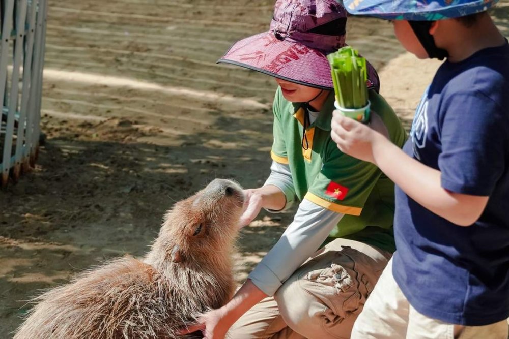 Tiên Tiến Farm & Zoo - Vườn Thú Xinh Xắn Cho Bé