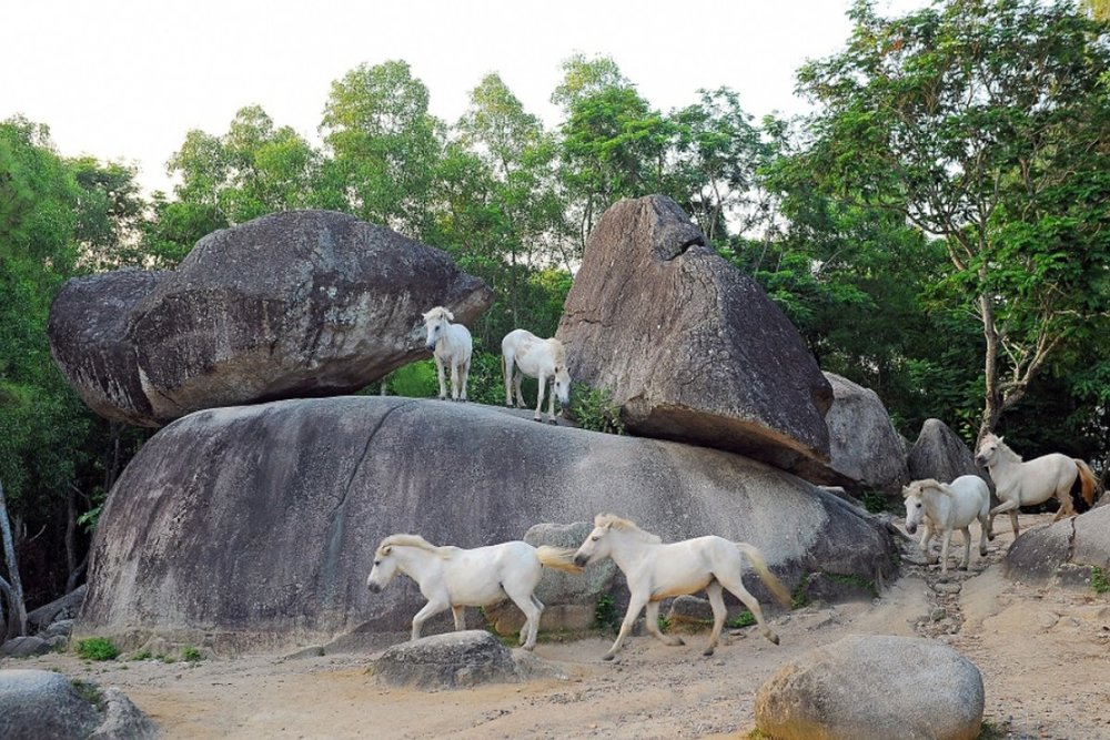 Hòn Trống Mái - Biểu Tượng Tình Yêu Trên Núi Trường Lệ