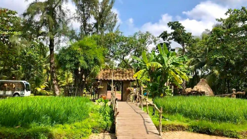 Tận Hưởng Khung Cảnh Làng Quê Miền Tây Ở Bình Quới