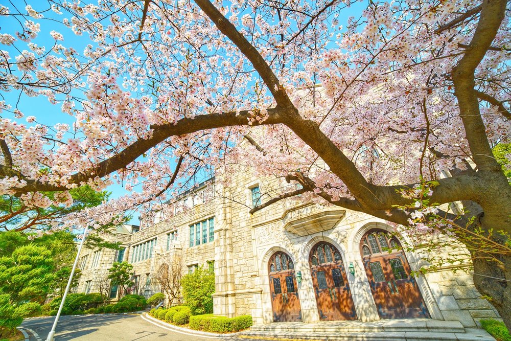 Đại Học Nữ EWHA 