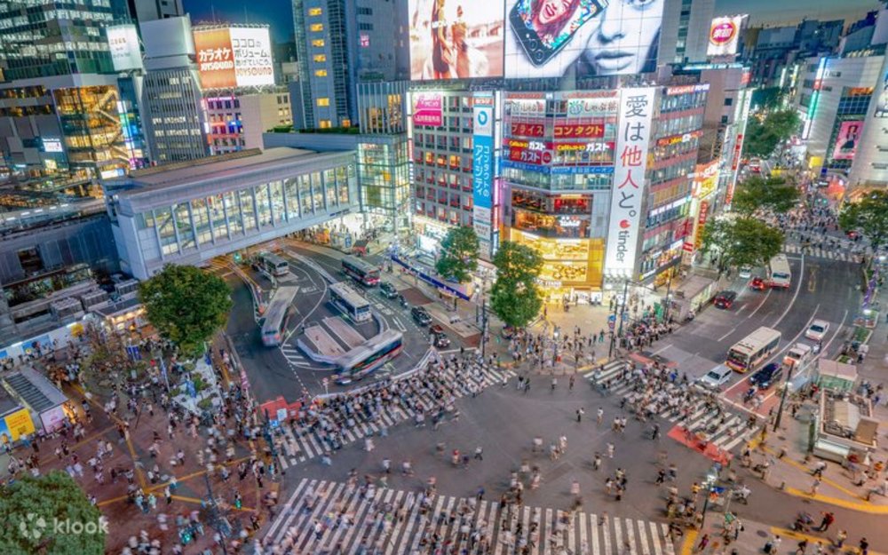 Shibuya Crossing - Tokyo 