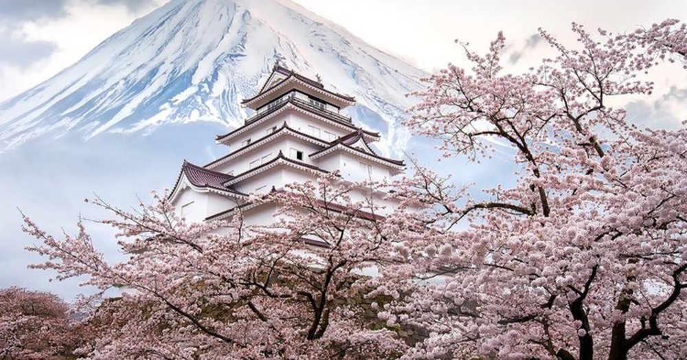 Lịch Trình Du Lịch Nhật Bản 7 Ngày (Gợi Ý Cho Người Đi Lần Đầu)