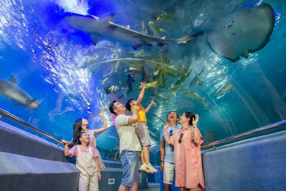 Trải Nghiệm Thực Tế: Viện Hải Dương Học Nha Trang Ở Đâu, Giá Vé Thế Nào?