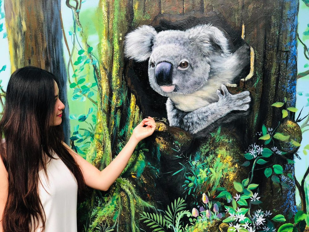 Hồ Cá Sấu Và Góc "Check-in" Độc Đáo