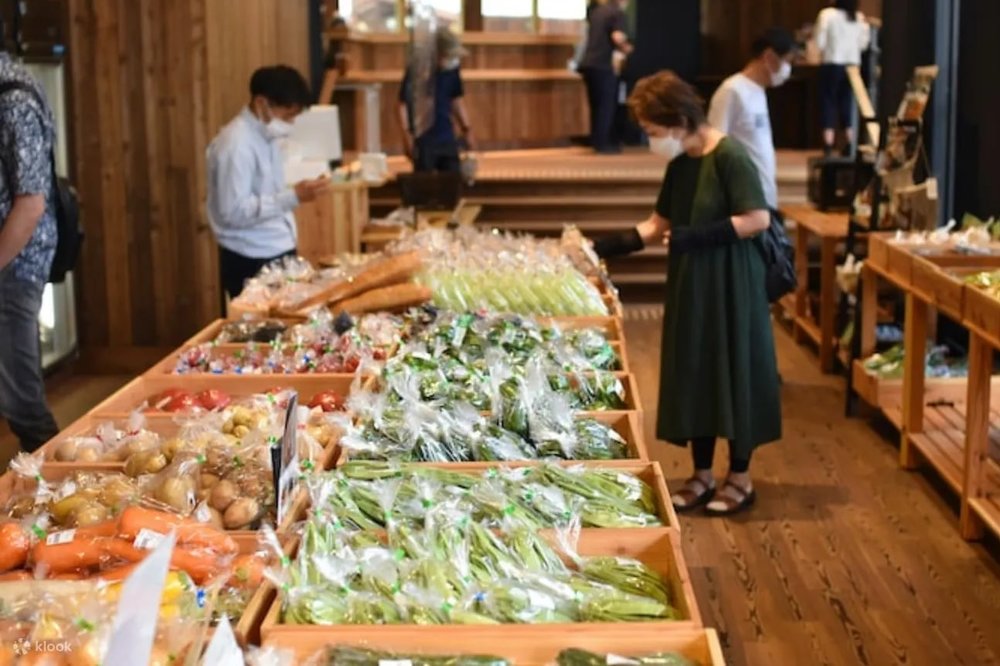 Togakushi Local Car Tour Farm