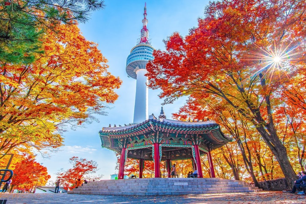 Tháp Namsan - Điểm Ngắm Toàn Cảnh Và Ổ Khóa Tình Yêu Lãng Mạn