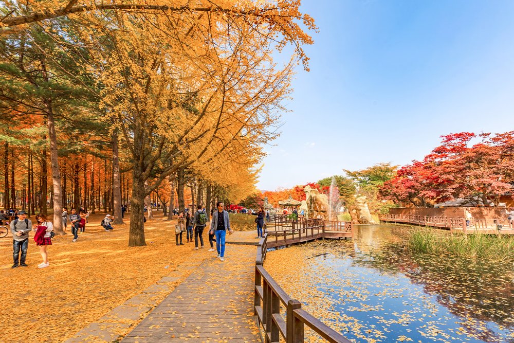 Đảo Nami - Biểu Tượng Tình Yêu Mỗi Mùa Một Vẻ